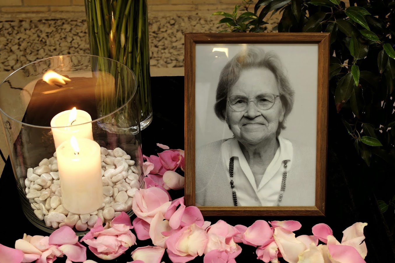 Bild "Anne Zin&szlig;er:2015-06-18_14-46-54_DSCF8174.JPG"