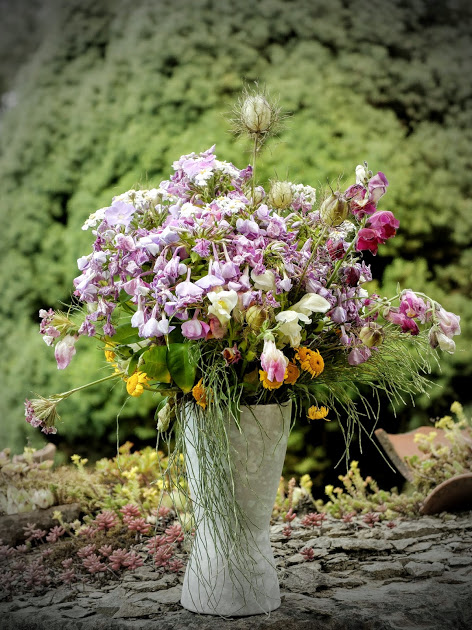 Bild "Willkommen:2016-07-16_11-55-004.JPG"